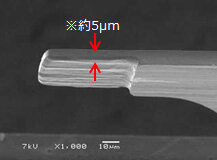 約5μmの試料固定部